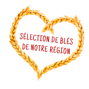 Sélection des blés normands Eure